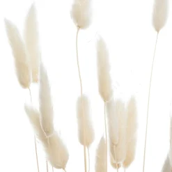 Bouquet de plantes séchées