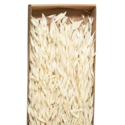 Bouquet fleurs séchées