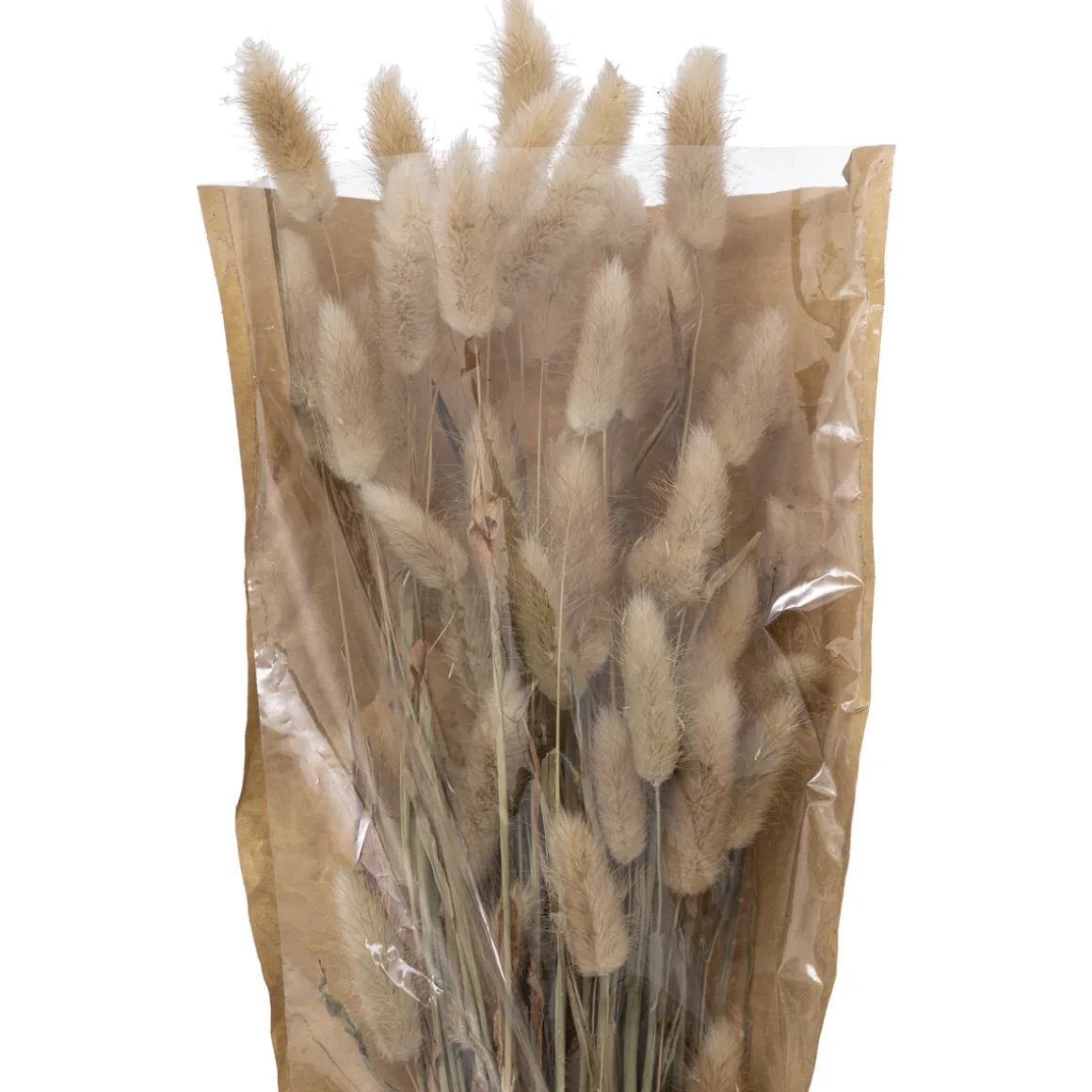 Bouquet fleurs séchées "Ori"