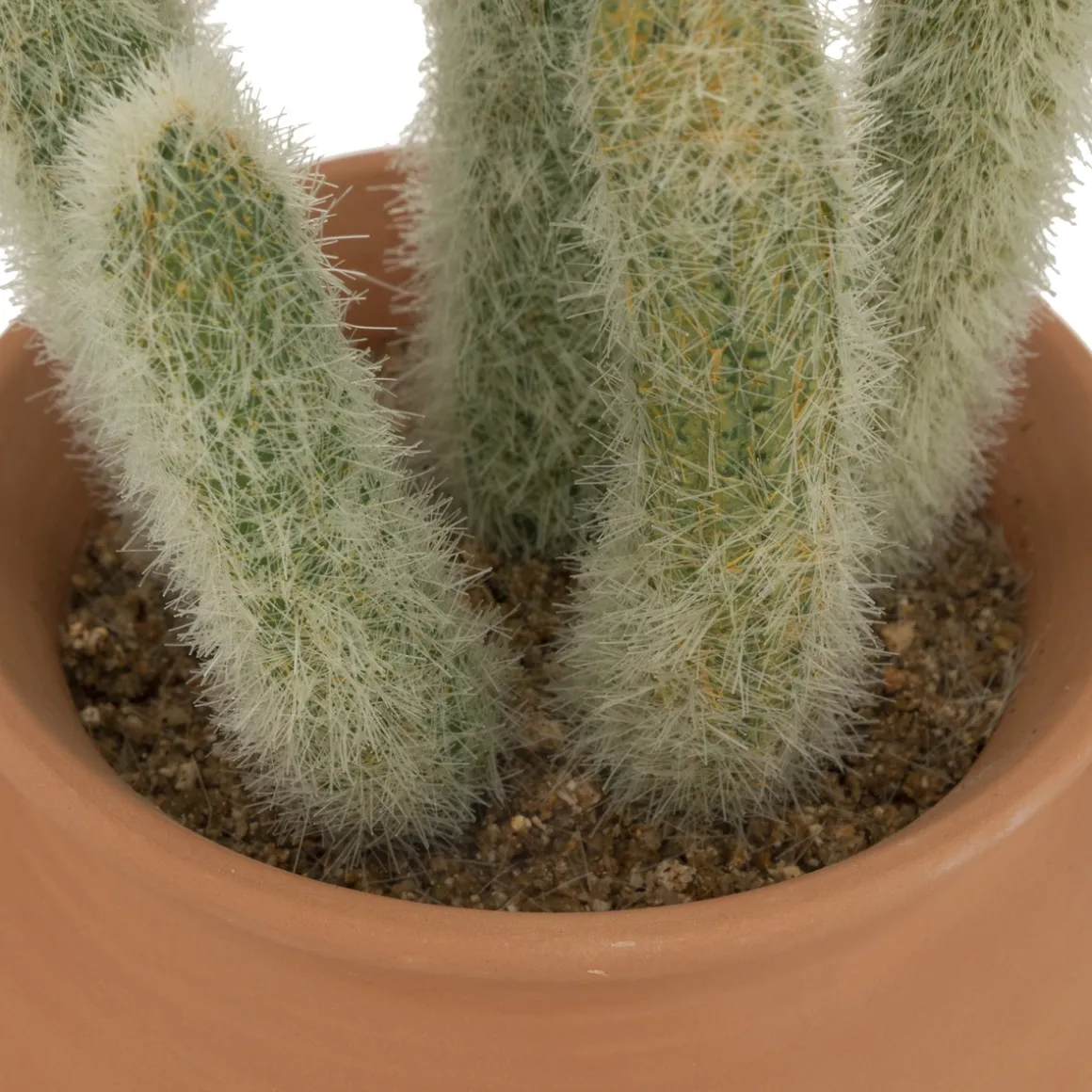 Cactus artificiel "Ali", H16,5 cm