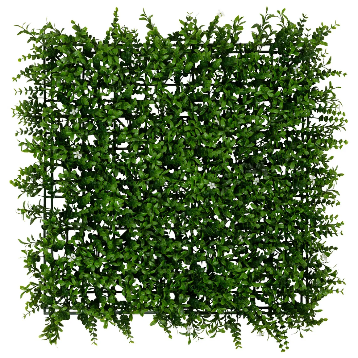 Carré végétal "Izy"