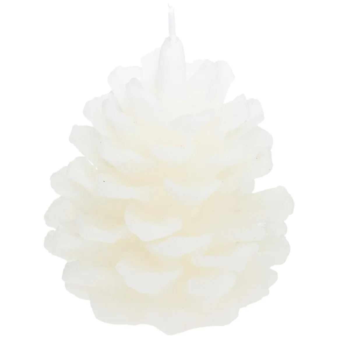 Coffret senteur "Wild"