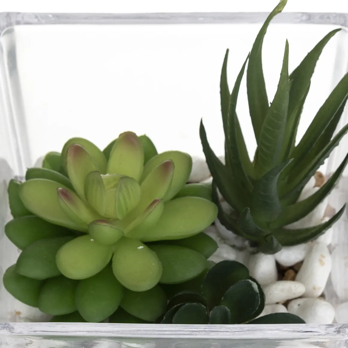 Composition des plantes arificielles