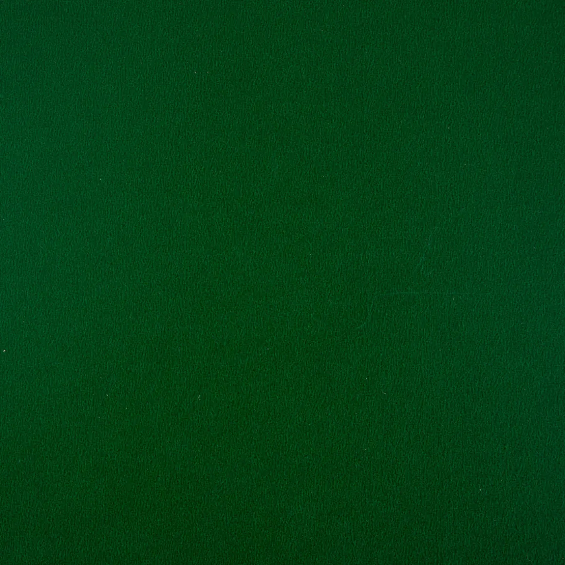 Etagère "Dinosaure"