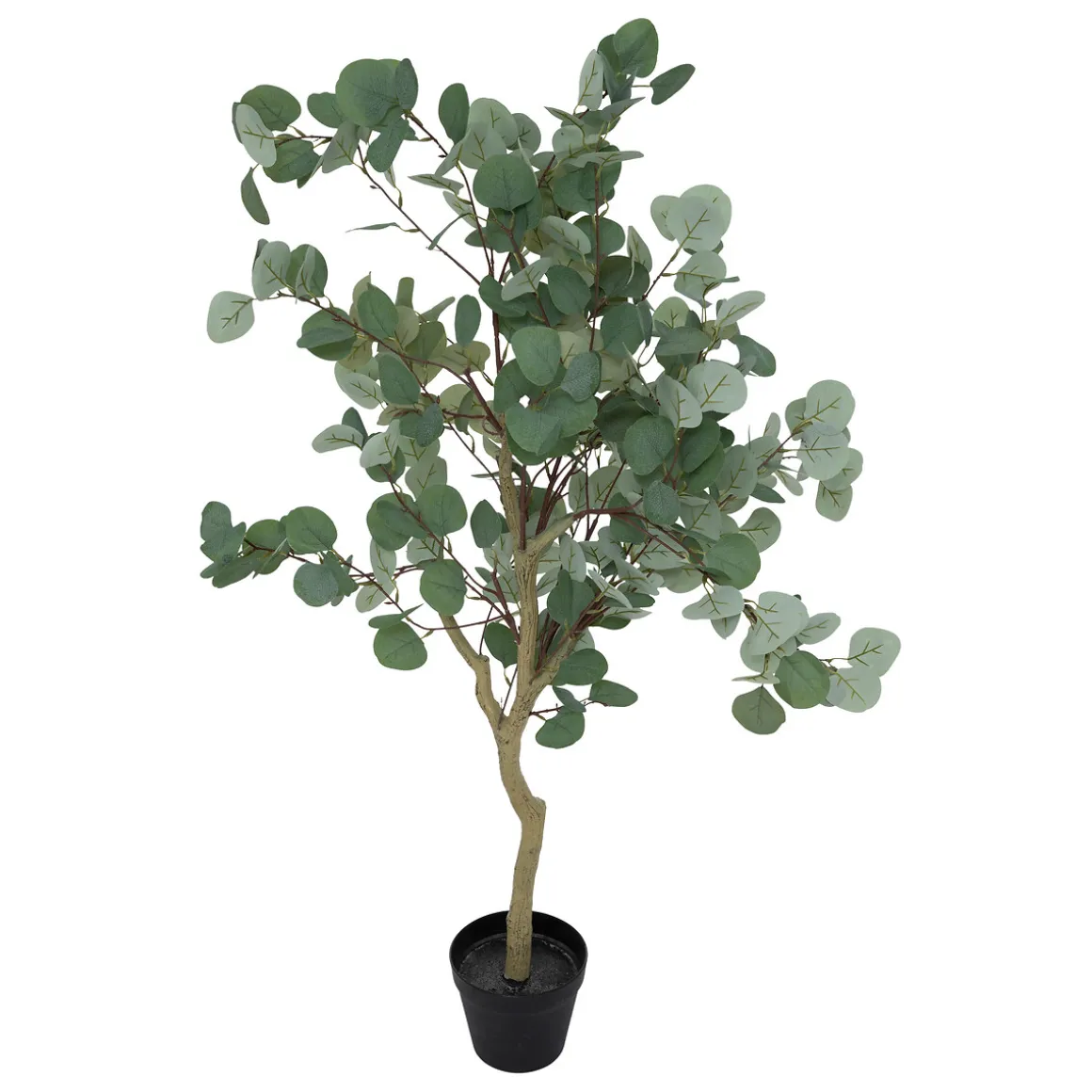 Eucalyptus artificiel "Cony"