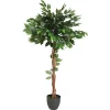 Ficus artificiel