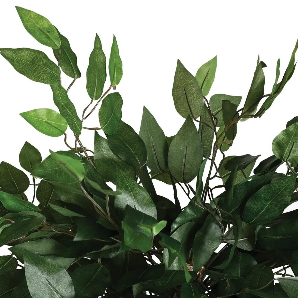 Ficus artificiel