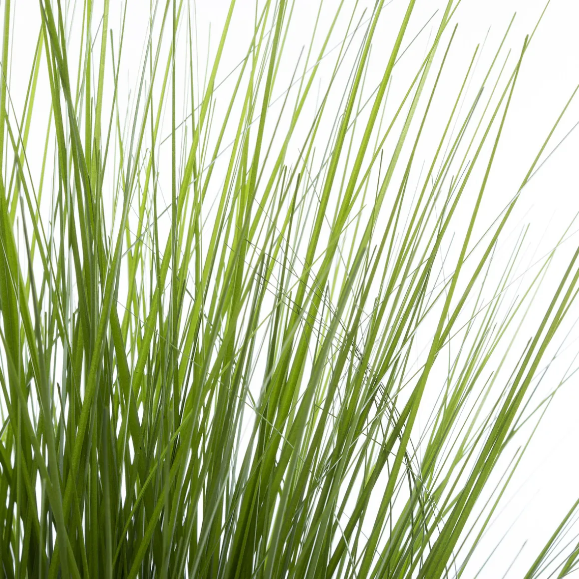 Herbe artificielle en pot