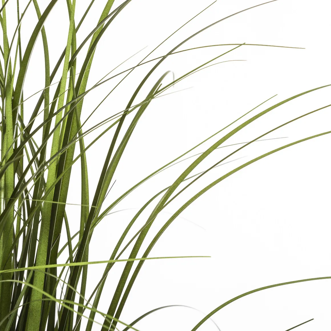 Herbe artificielle en pot