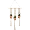 Lot de 3 plantes suspendues "Hacienda"