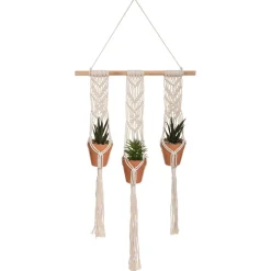 Lot de 3 plantes suspendues "Hacienda"