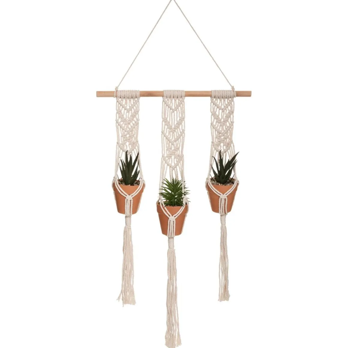 Lot de 3 plantes suspendues "Hacienda"