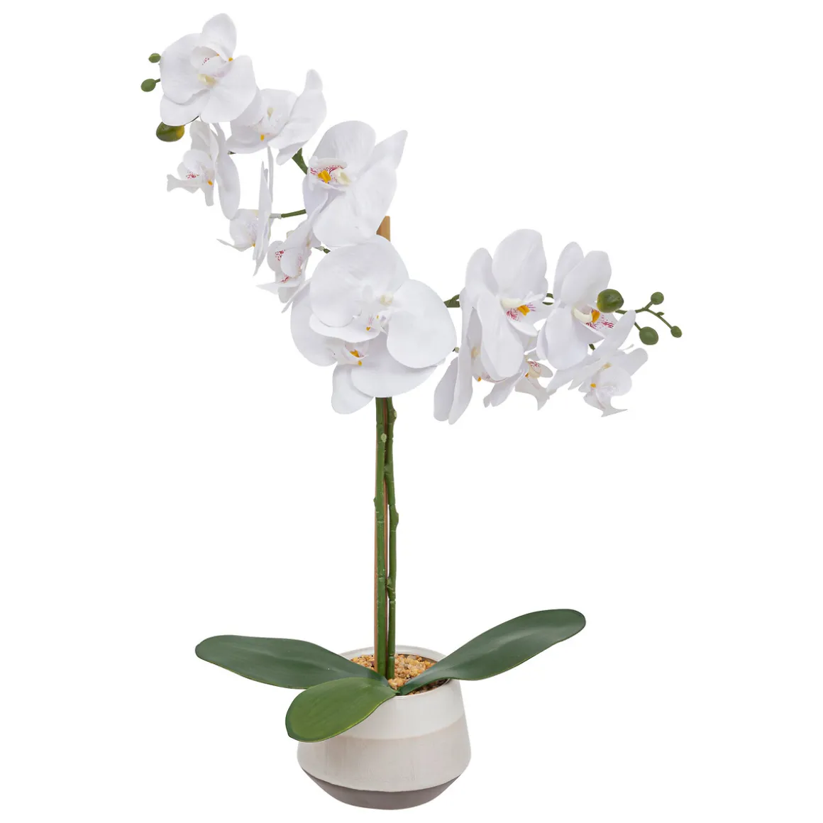 Orchidée artificielle "Clera"