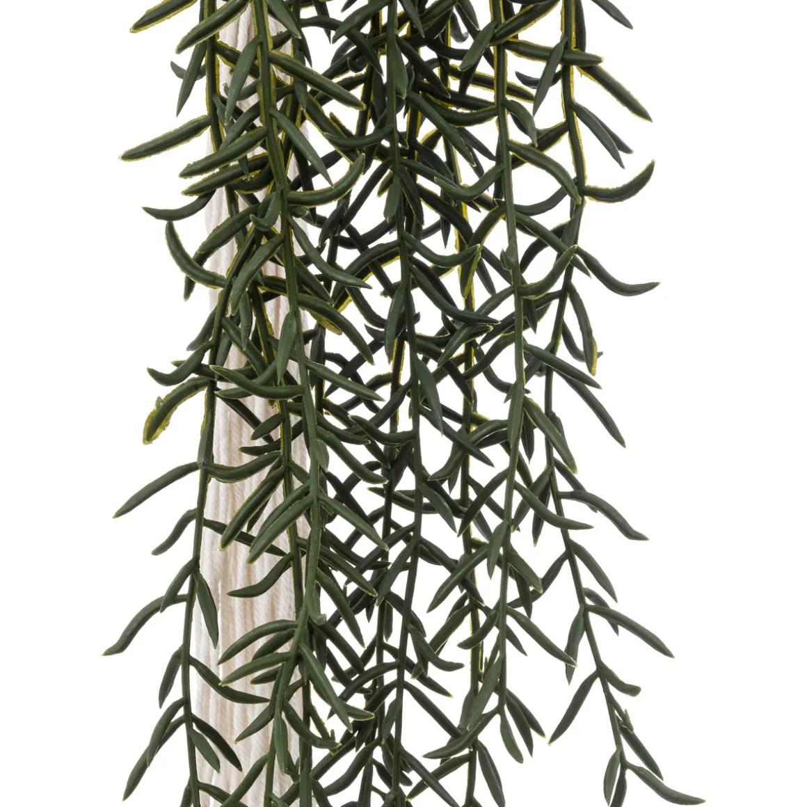 Plante artificielle "Ali"