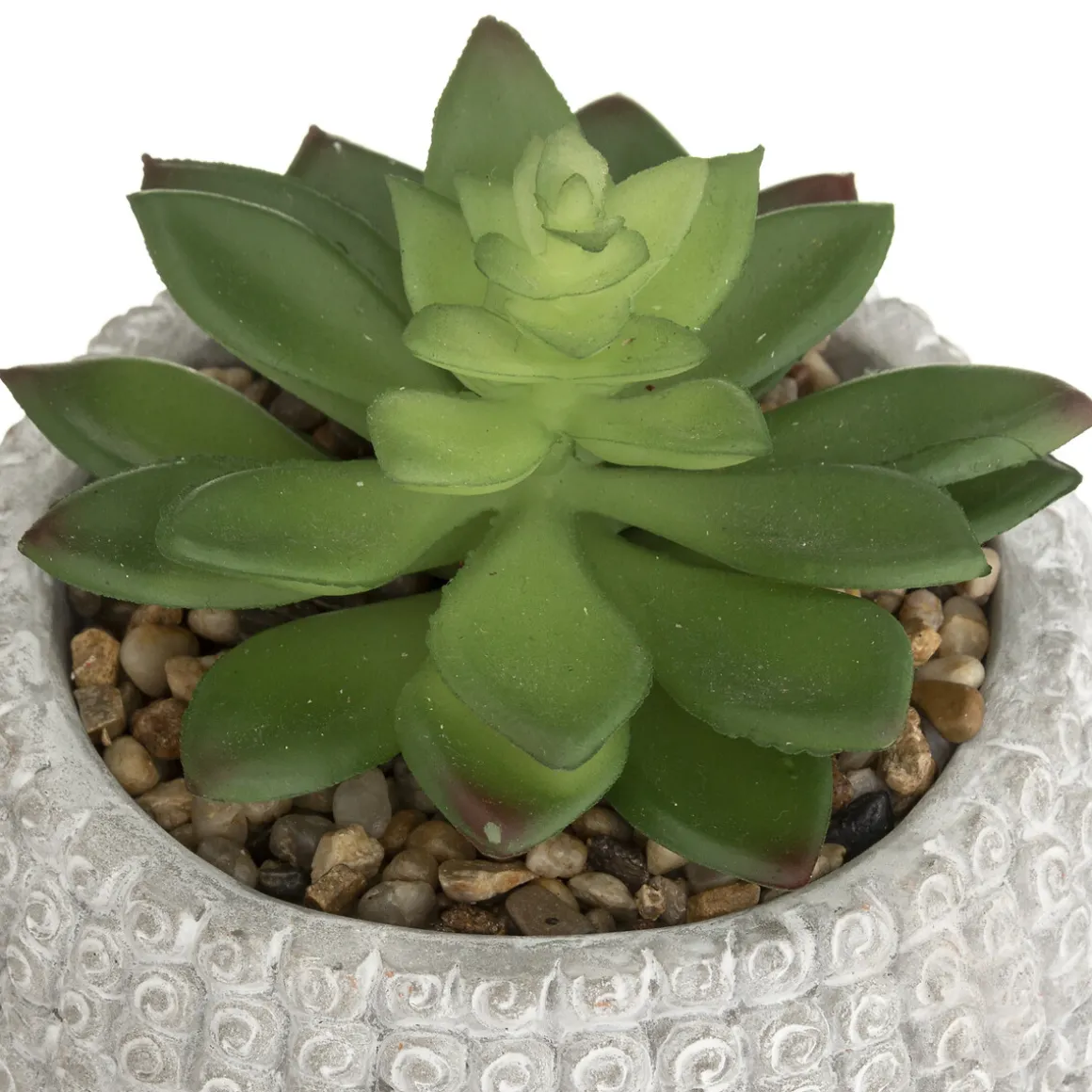 Plante artificielle "Bouddha"