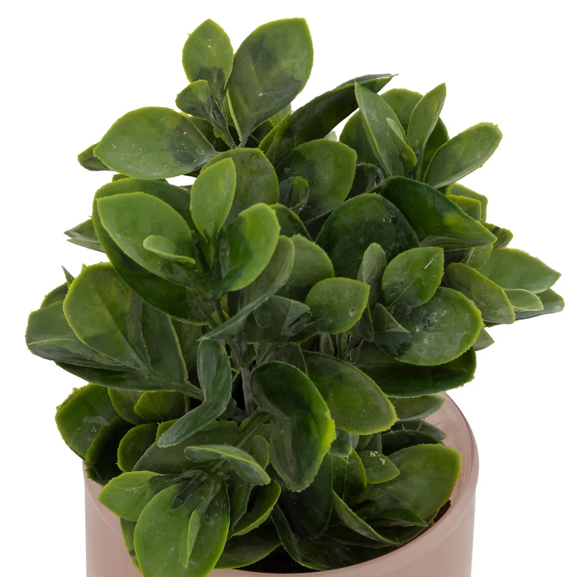 Plante artificielle en pot "Tayli"