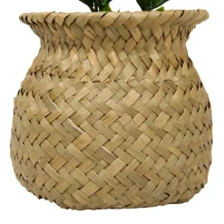 Plante artificielle en pot