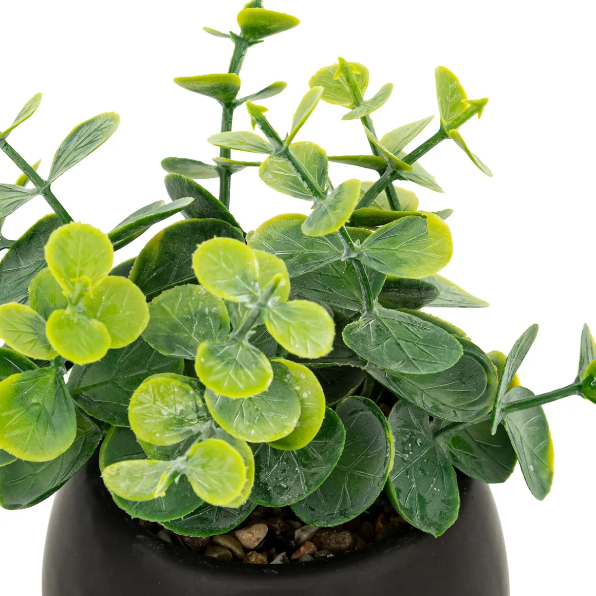 Plante artificielle "Livy"