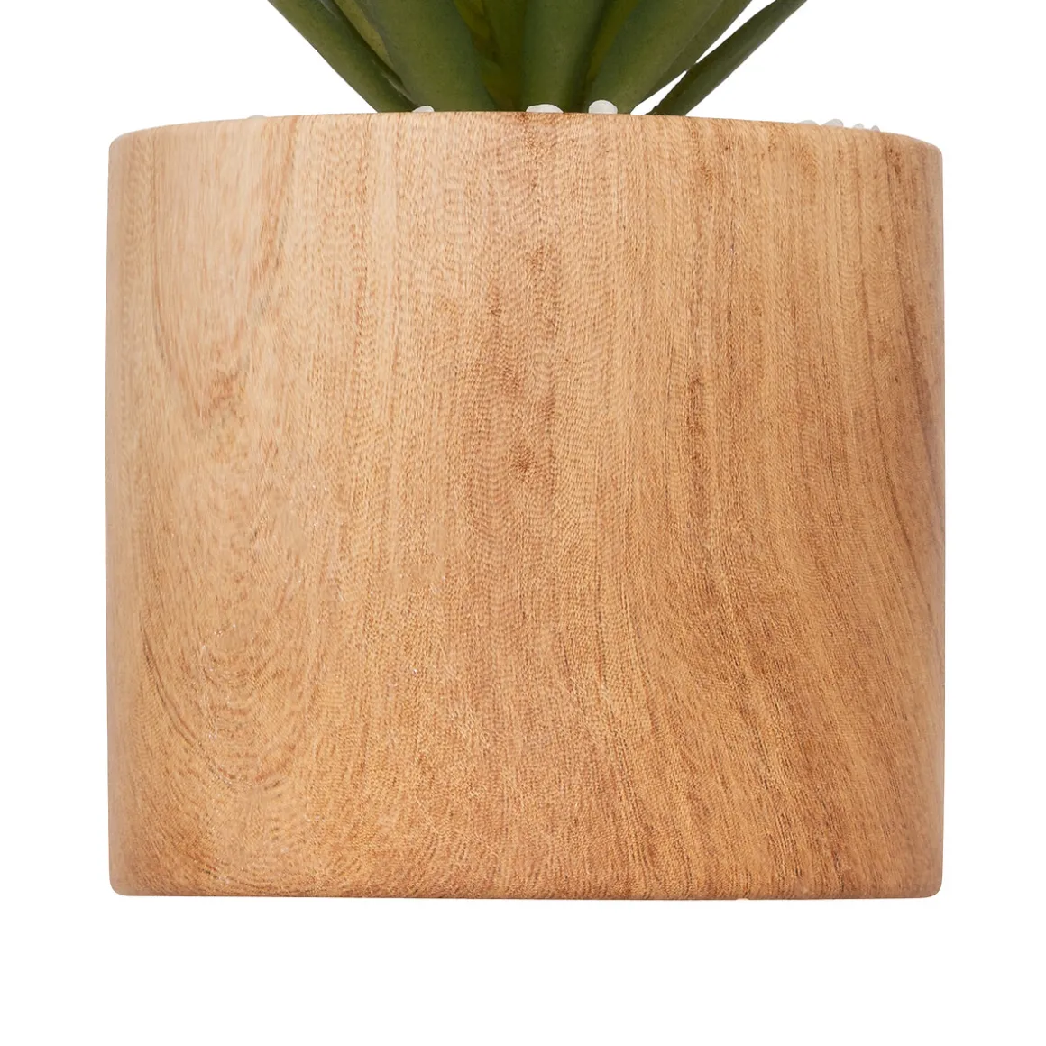 Plante artificielle "Sao"