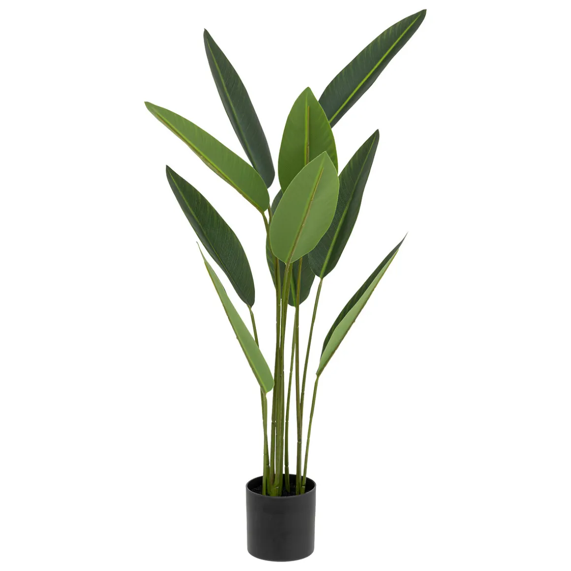 Plante artificielle strelitzia