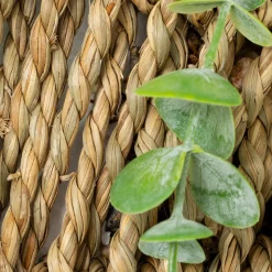 Plante artificielle suspendue