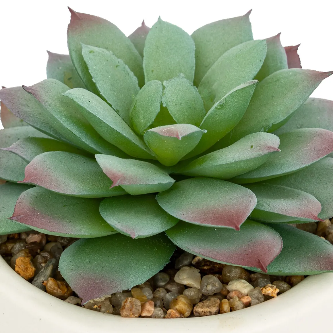 Plante grasse artificielle "Nils"