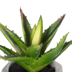 Plante grasse artificielle