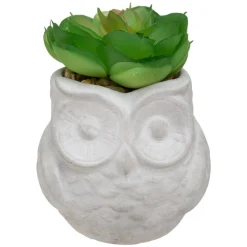 Succulente artificielle