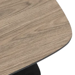 Table basse 1 étagère 