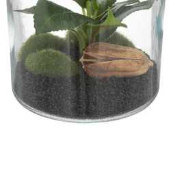 Terrarium 