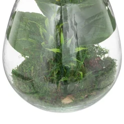 Terrarium 