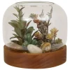 Terrarium "Wonj"