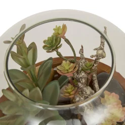Terrarium 
