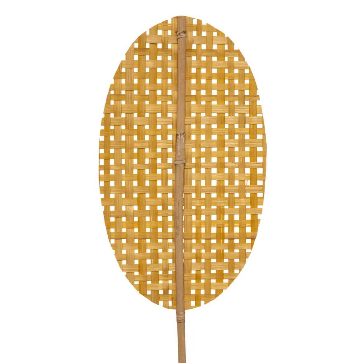 Tige naturelle "Tropiques"